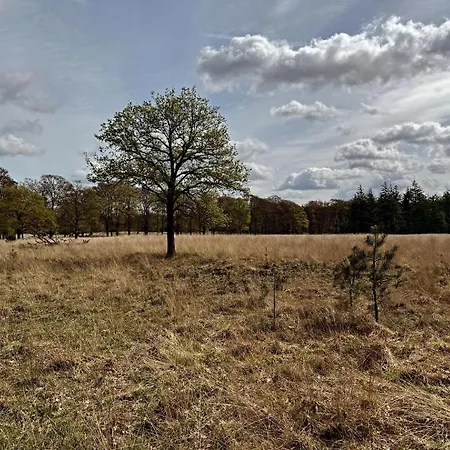 Welkom In Het Beachbos I Onthaasten Op De Veluwe Hoenderloo Exterior photo