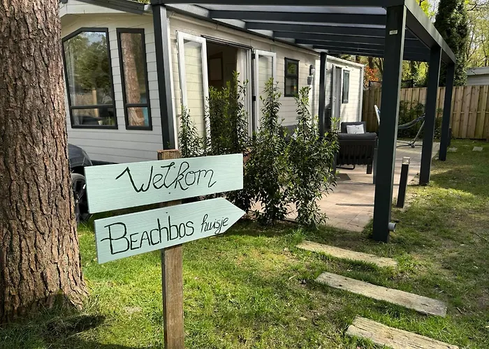 Welkom In Het Beachbos I Onthaasten Op De Veluwe