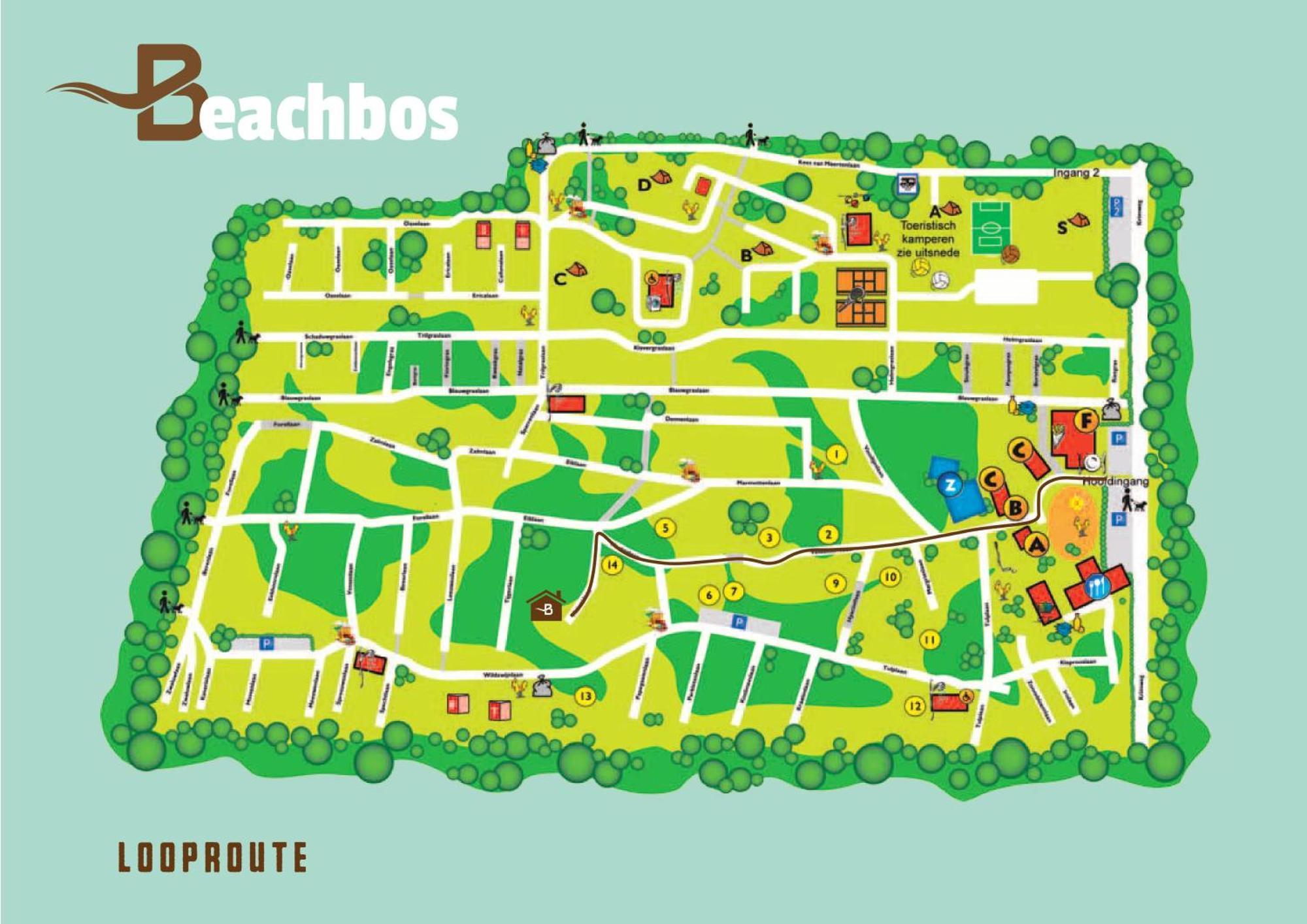 Welkom In Het Beachbos I Onthaasten Op De Veluwe * Hoenderloo