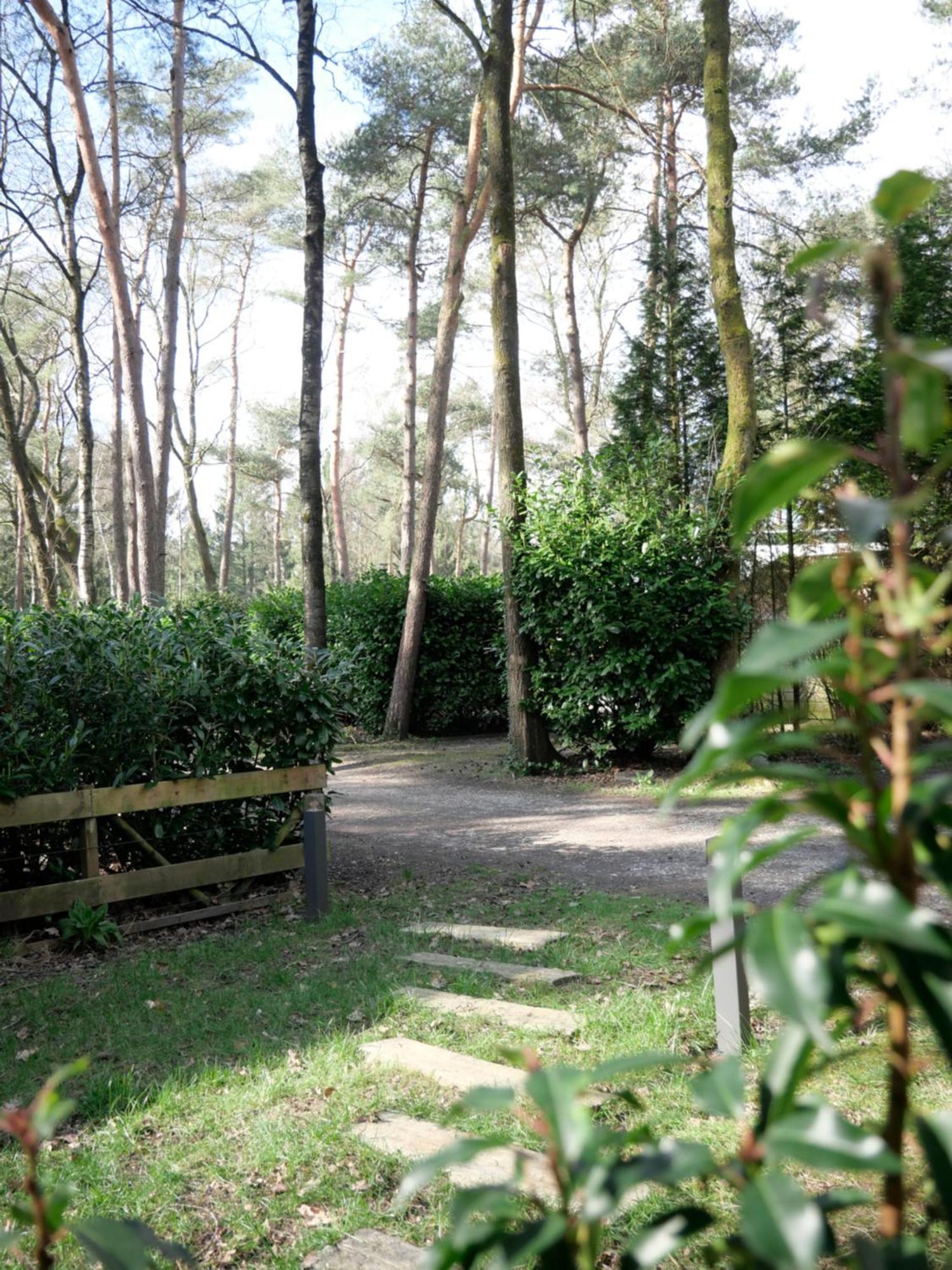 Chalet Welkom In Het Beachbos I Onthaasten Op De Veluwe Hoenderloo