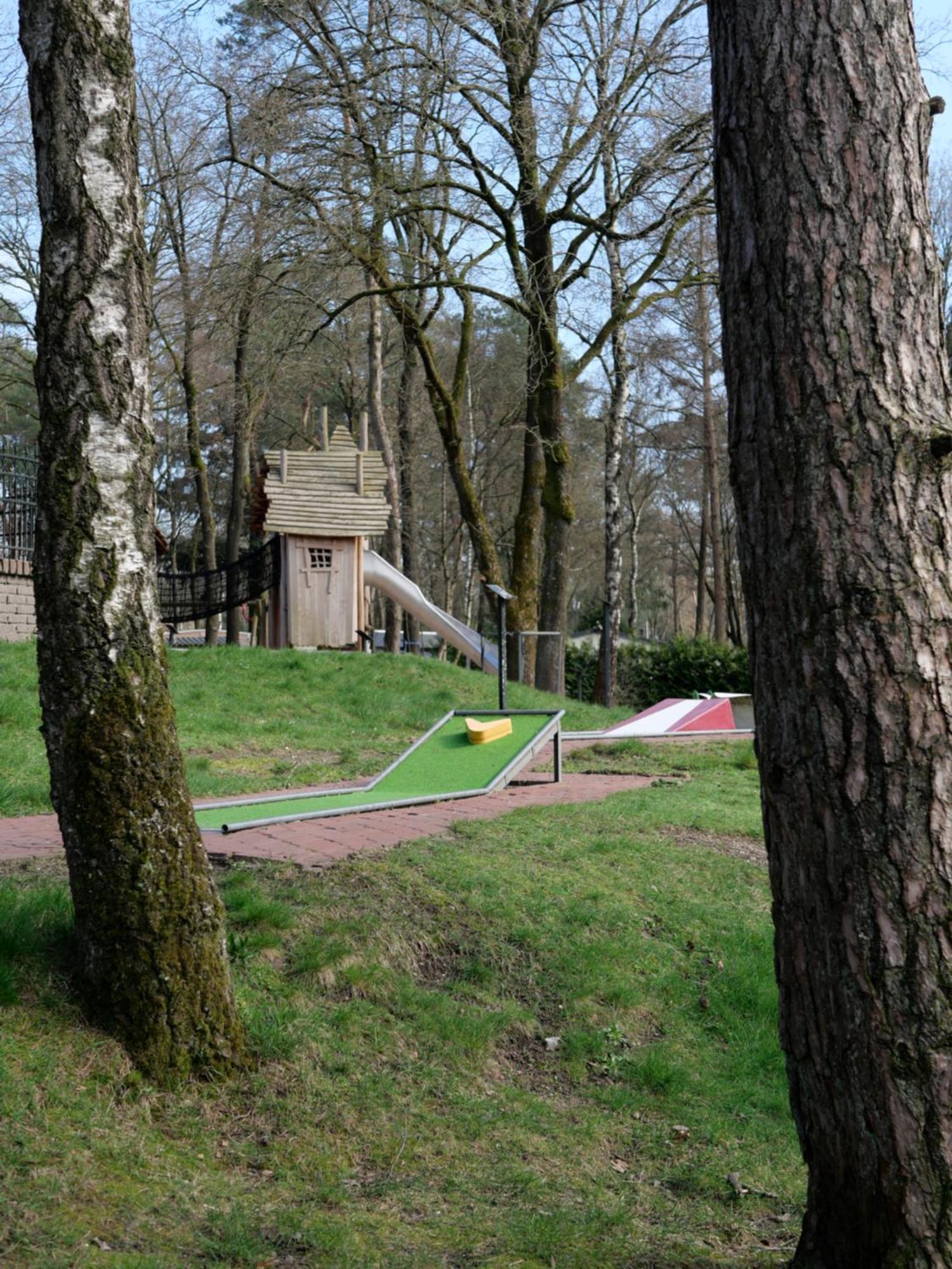 Welkom In Het Beachbos I Onthaasten Op De Veluwe *